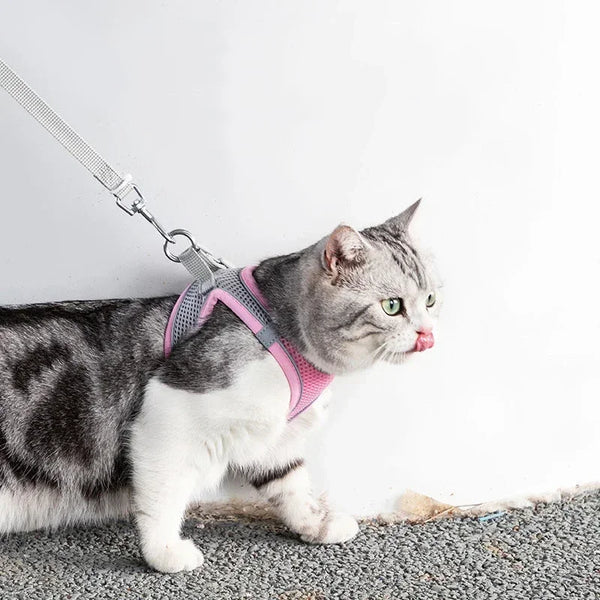 Cat-Harness-Adjustable-Pet-Harnesses-Reflective-Leashes-Set-Pet-Harness-for-Cats-Small-Dogs-Pug-Chihuahua.jpg