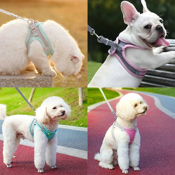 Reflective Cat Harness Set